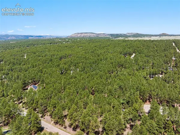 140 E Stirrup Trail, Monument, CO 80132