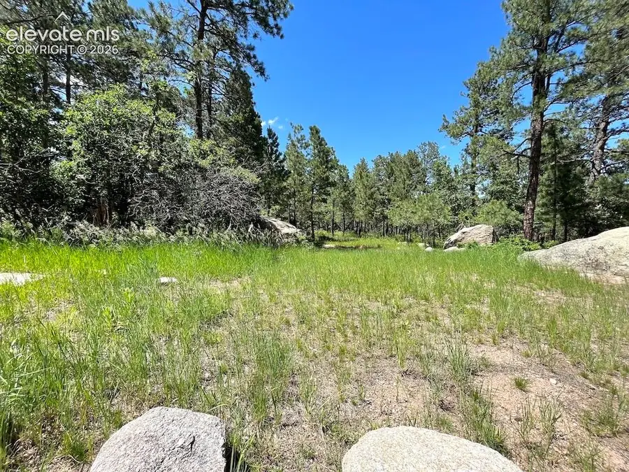 584 Silver Oak Grove, Colorado Springs, CO 80906 - #2