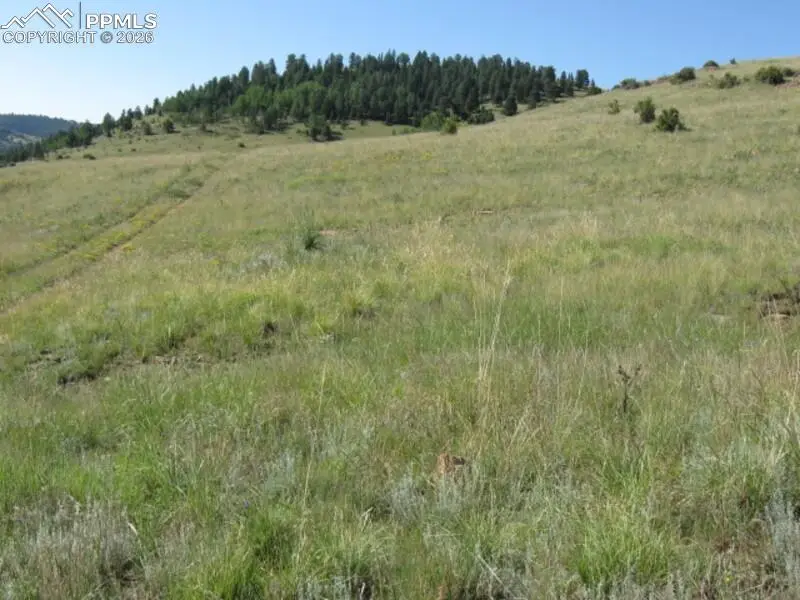 Lot 1-2 Shideler Avenue, Cripple Creek, CO 80813 - #1