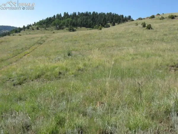 Lot 1-2 Shideler Avenue, Cripple Creek, CO 80813