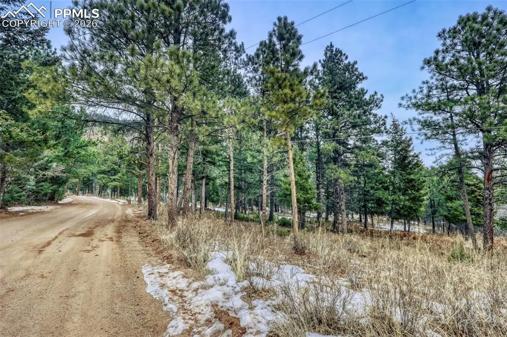 Rock Ridge Road, Palmer Lake, CO 80133 - #1