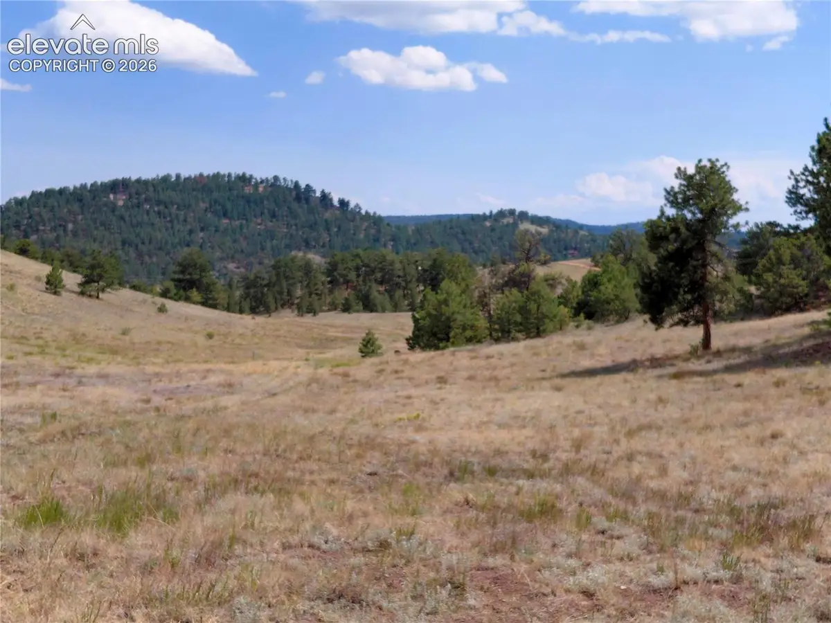 Tract 70 Owls Nest Road, Guffey, CO 80820 - #1