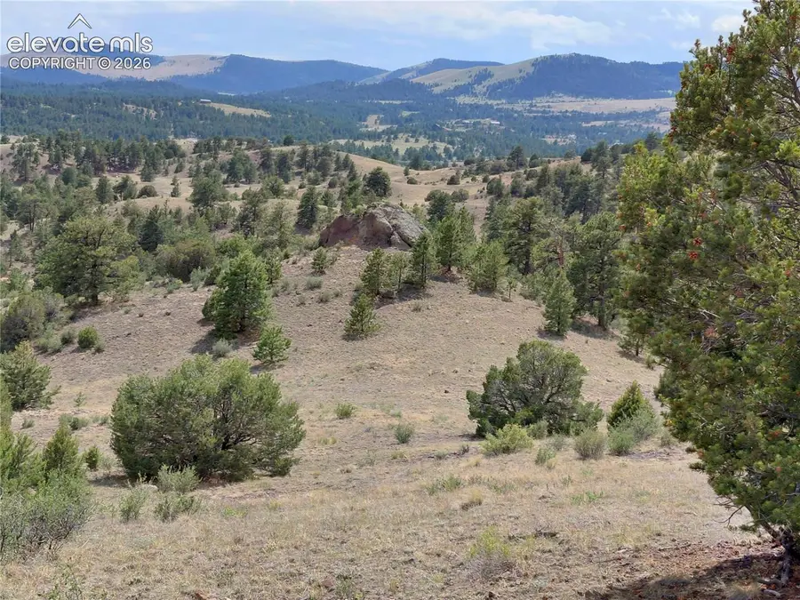 Tract 70 Owls Nest Road, Guffey, CO 80820 - #2