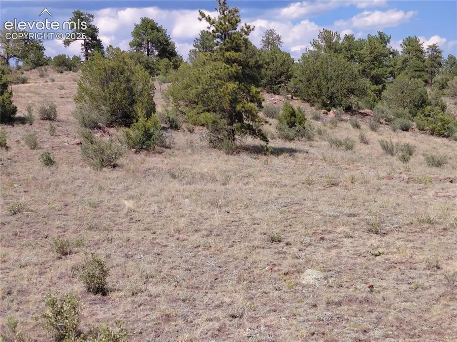 Tract 70 Owls Nest Road, Guffey, CO 80820 - #3