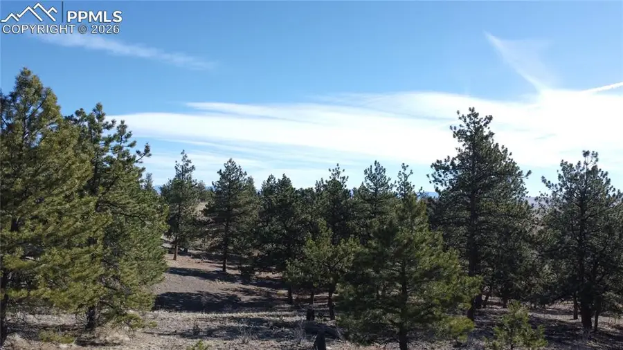 52 Bit Way, Hartsel, CO 80449 - #2