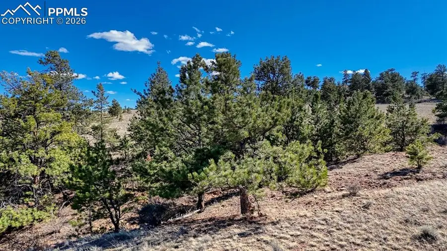 L5090L5097 Arikara Trail, Hartsel, CO 80449 - #2