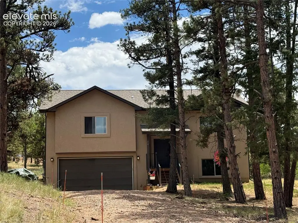 24 Big Horn Circle, Florissant, CO 80816 - #1