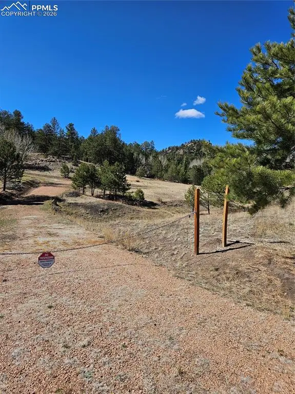 717 Canyon Drive, Florissant, CO 80816 - #1