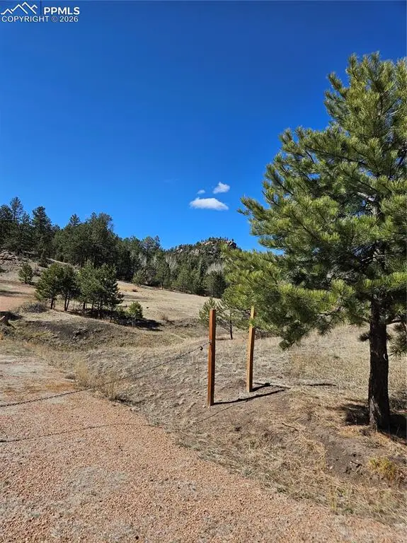 717 Canyon Drive, Florissant, CO 80816 - #3