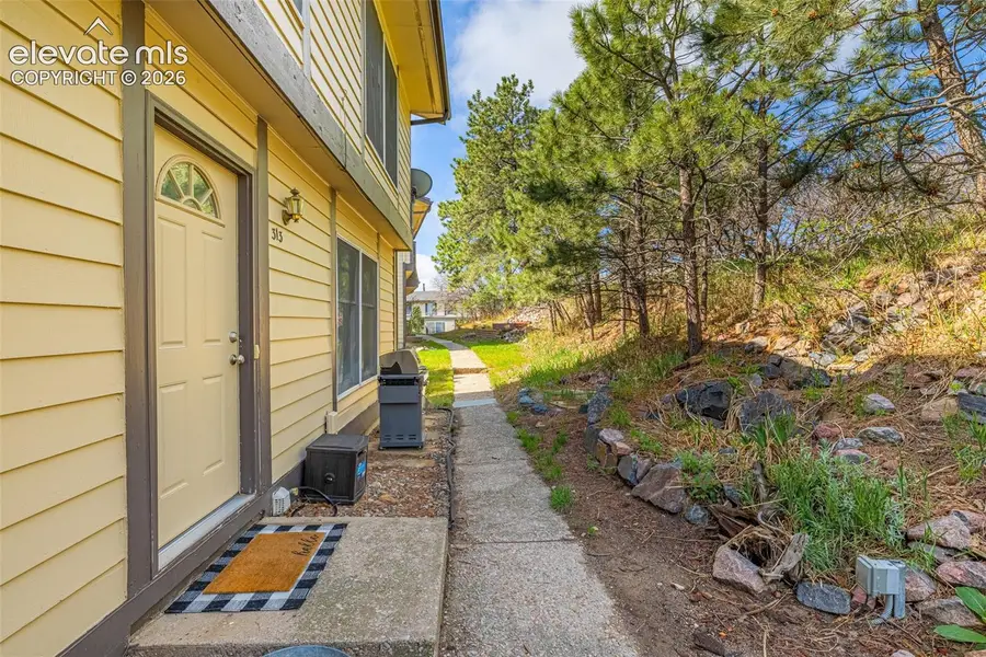 313 Raspberry Lane, Monument, CO 80132 - #2