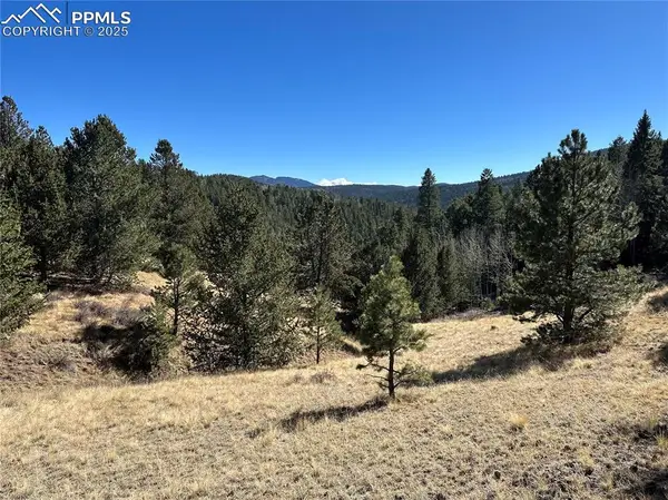 1196 Wellington Drive, Cripple Creek, CO 80813