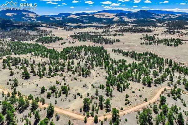 422 Buck Drive, Guffey, CO 80820