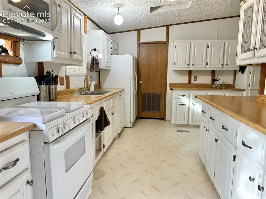 45 La Abu Trail, Florissant, CO 80816 - #2