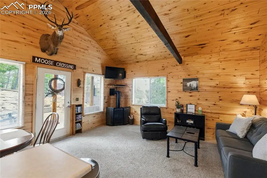 526 Wakanda Trail, Woodland Park, CO 80863 - #3