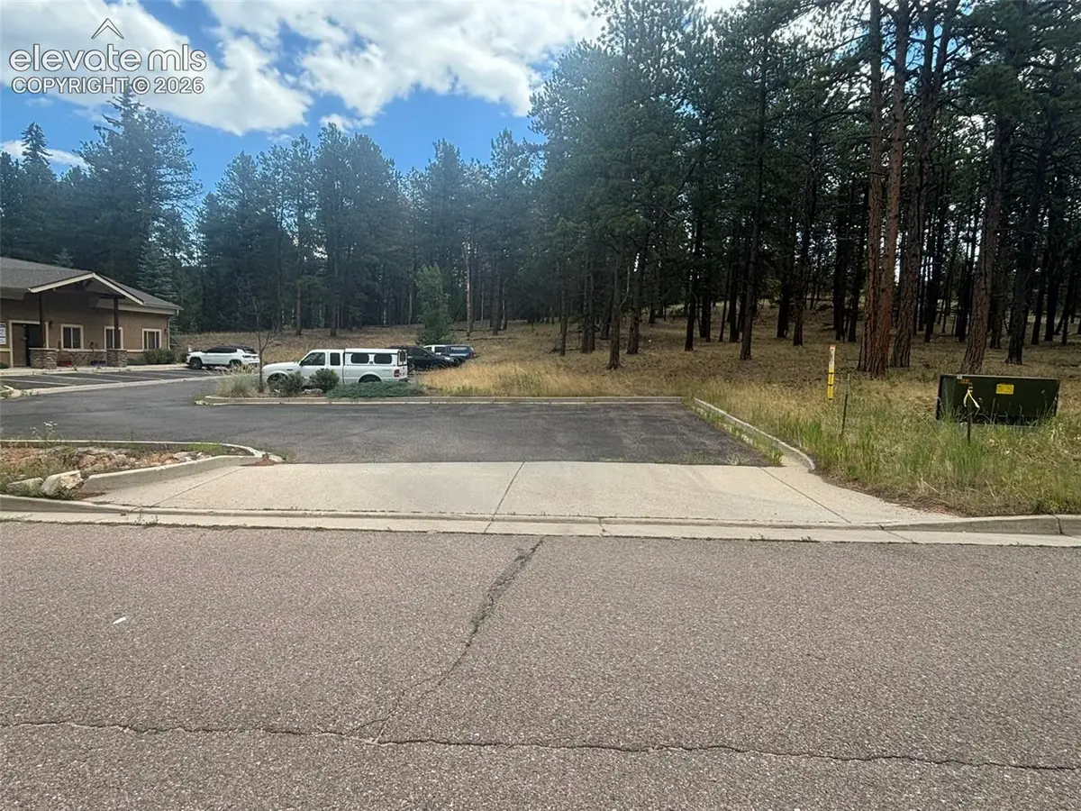 1020 Tamarac Parkway, Woodland Park, CO 80863 - #1