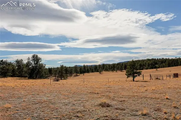 000 Twinkle Road, Guffey, CO 80820