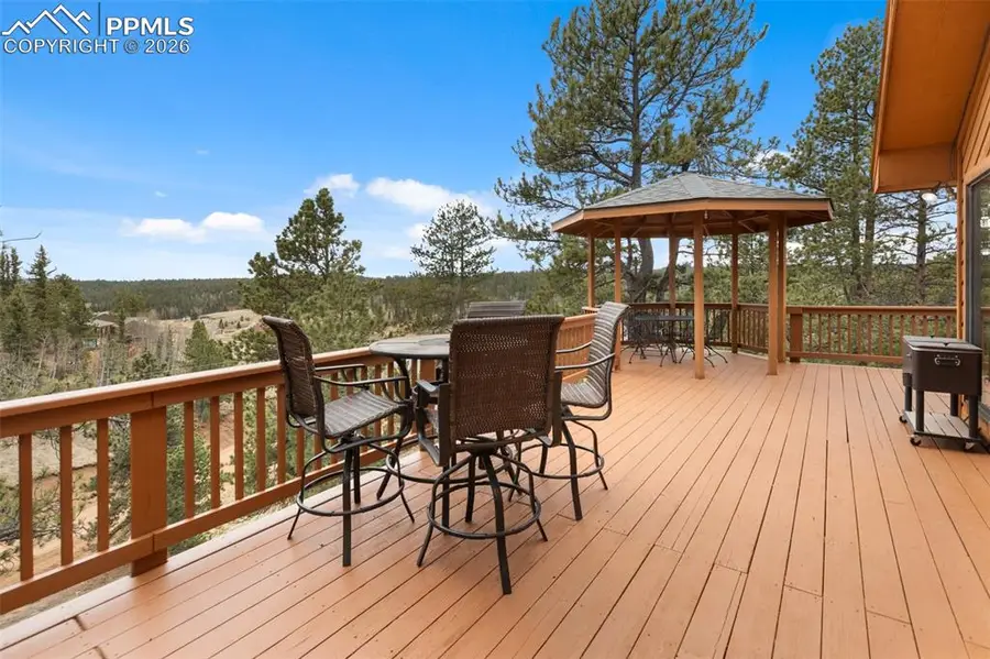 164 Spring Valley Circle, Divide, CO 80814 - #3
