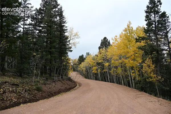 1020 Princess Road, Cripple Creek, CO 80813