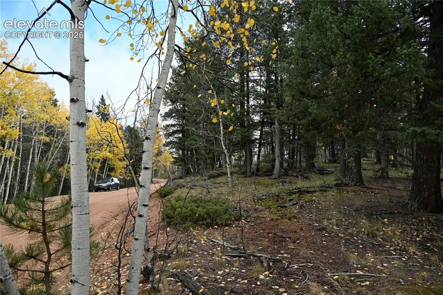 1020 Princess Road, Cripple Creek, CO 80813 - #2