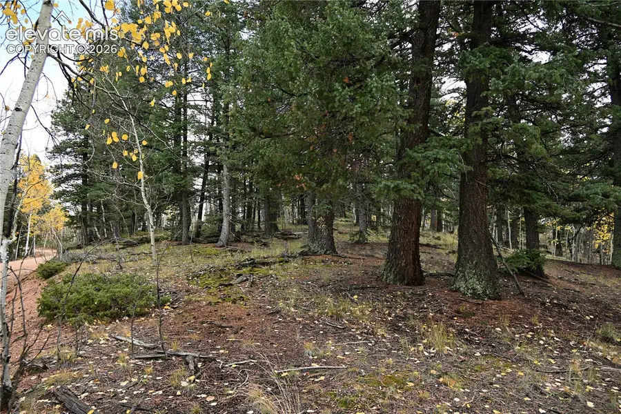 1020 Princess Road, Cripple Creek, CO 80813 - #3
