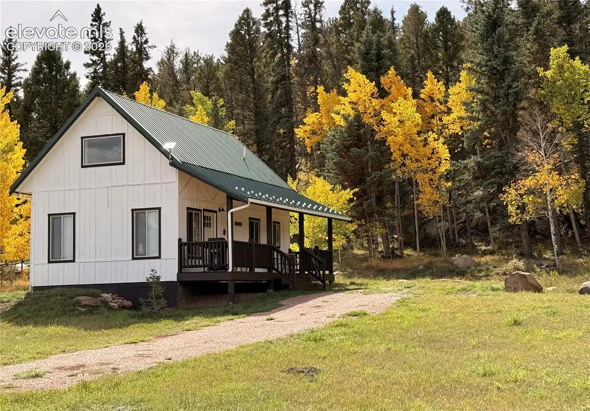 340 Forest Lane, Lake George, CO 80827 - #1