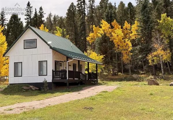 340 Forest Lane, Lake George, CO 80827