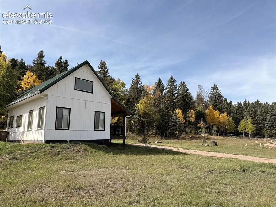 340 Forest Lane, Lake George, CO 80827 - #3