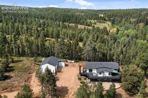 403 Pioneer Creek Drive, Florissant, CO 80816