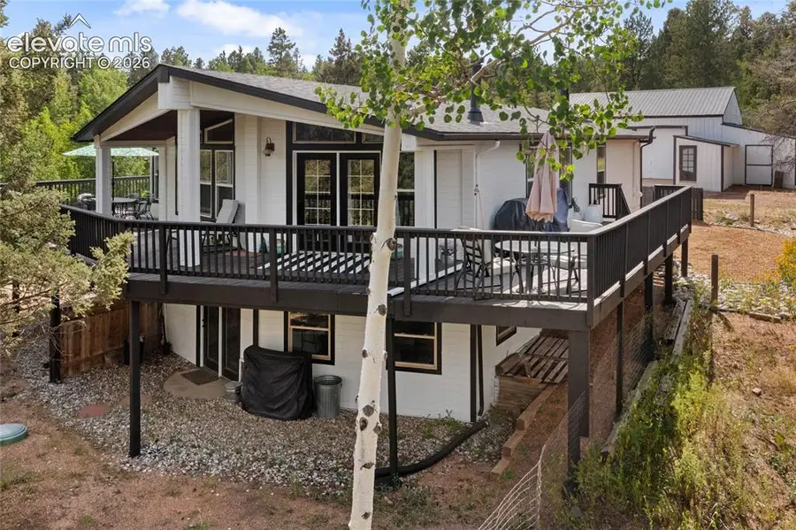 403 Pioneer Creek Drive, Florissant, CO 80816 - #2