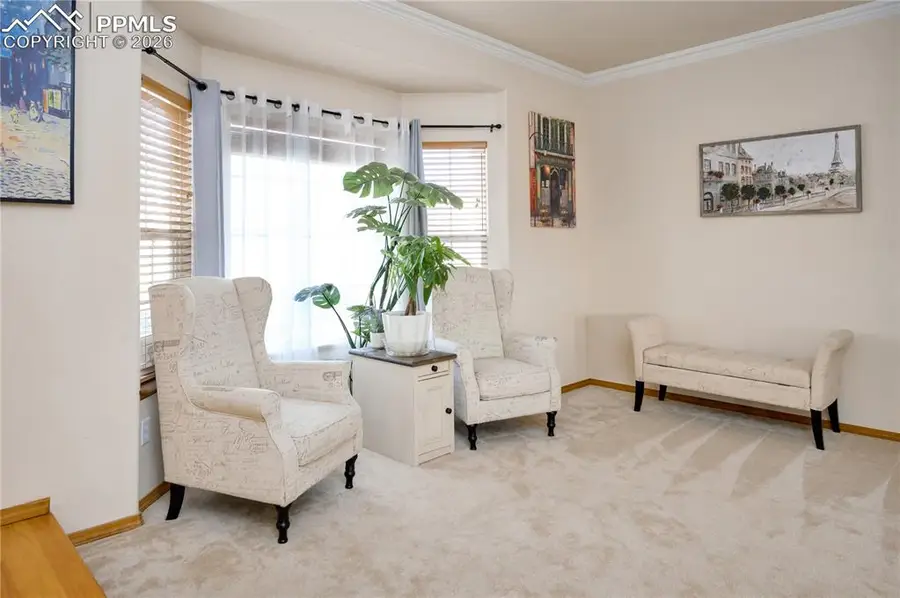 7453 Amberly Drive, Colorado Springs, CO 80923 - #3