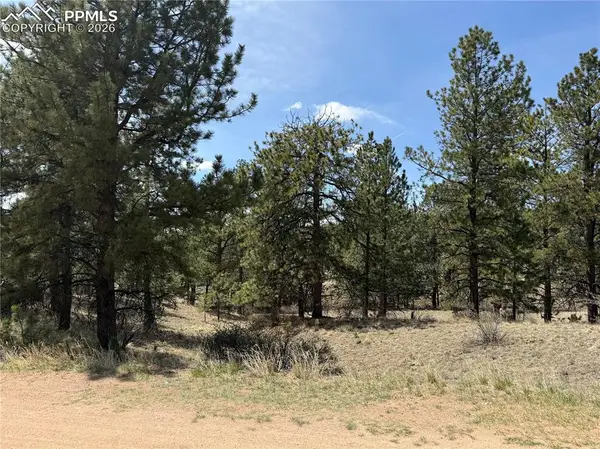 99 Cheyenne Way, Florissant, CO 80816