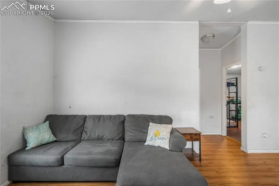 111 Mojave Way, Fountain, CO 80817 - #3