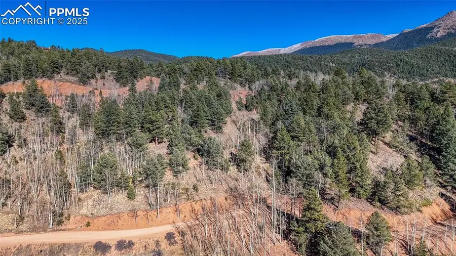 741 Pikes Peak Drive, Divide, CO 80814 - #2