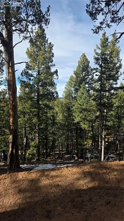 321 Tillicum Trail, Woodland Park, CO 80863