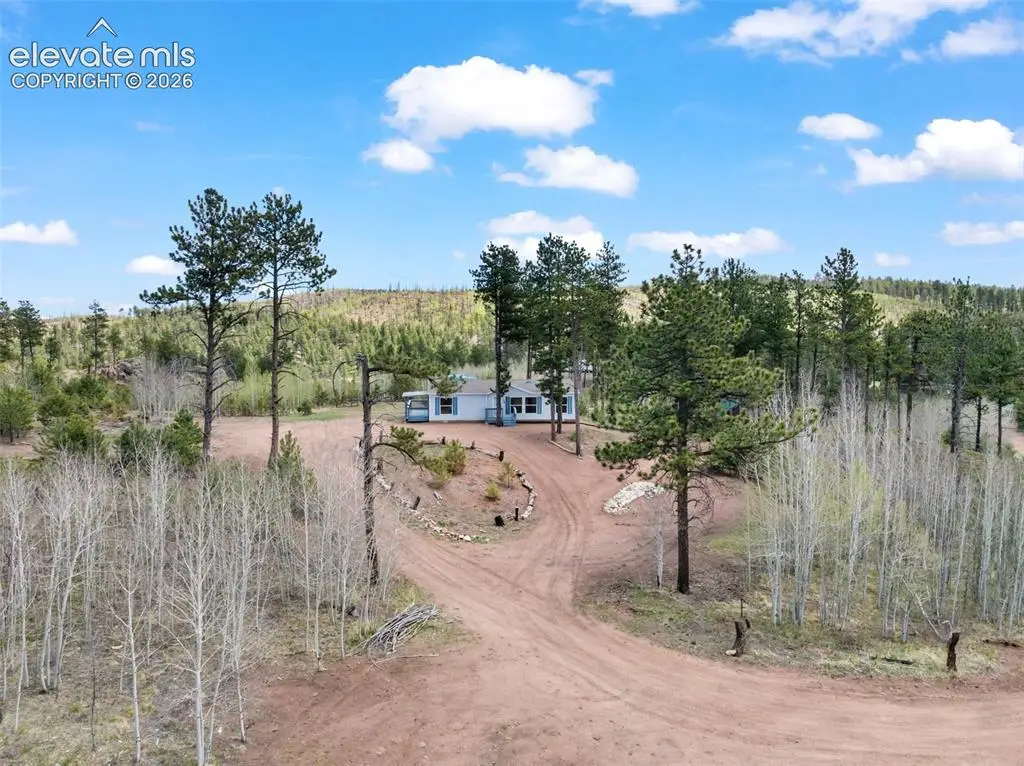 100 Wolverine Drive, Florissant, CO 80816 - #1