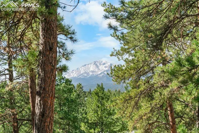 156 E Ridge Drive, Woodland Park, CO 80863 - Image #1