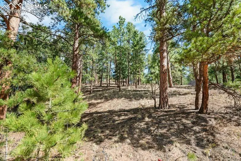 156 E Ridge Drive, Woodland Park, CO 80863 - Image #3