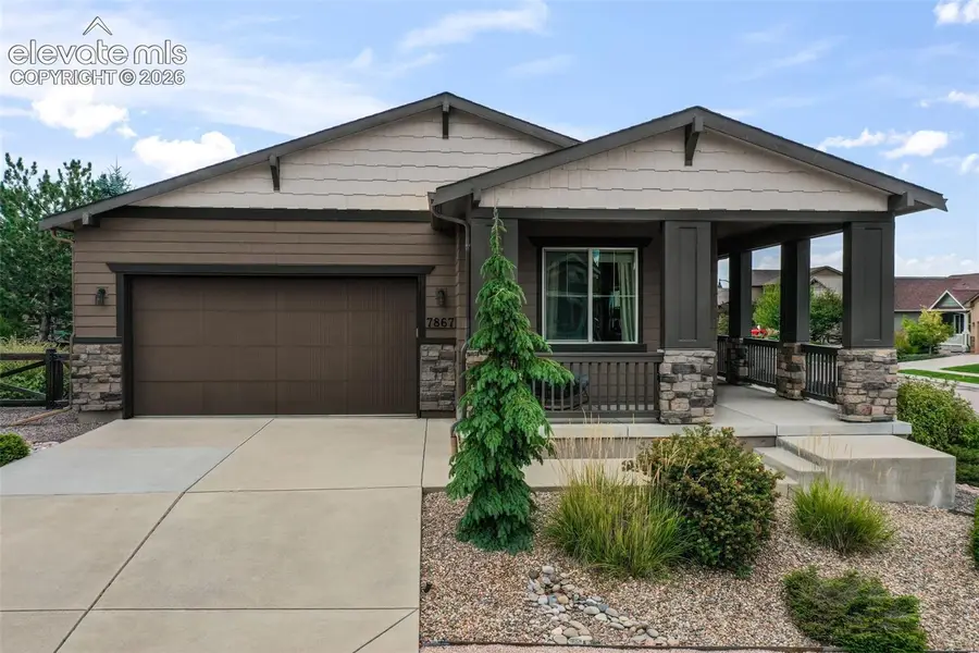 7867 Silver Birch Drive, Colorado Springs, CO 80927 - #2