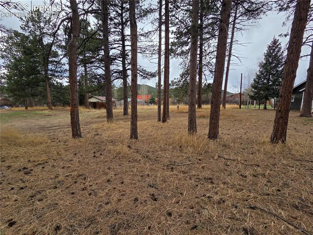 224 S Fairview Street, Woodland Park, CO 80863 - #1