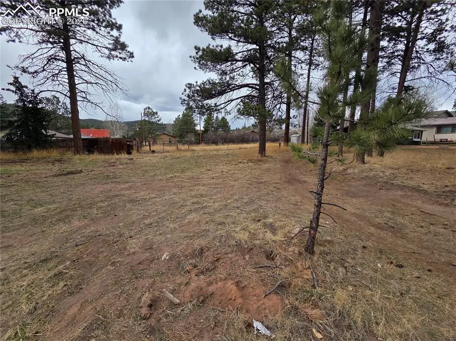 224 S Fairview Street, Woodland Park, CO 80863 - #3