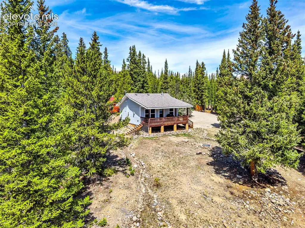 386 Prunes Place, Fairplay, CO 80440 - #1