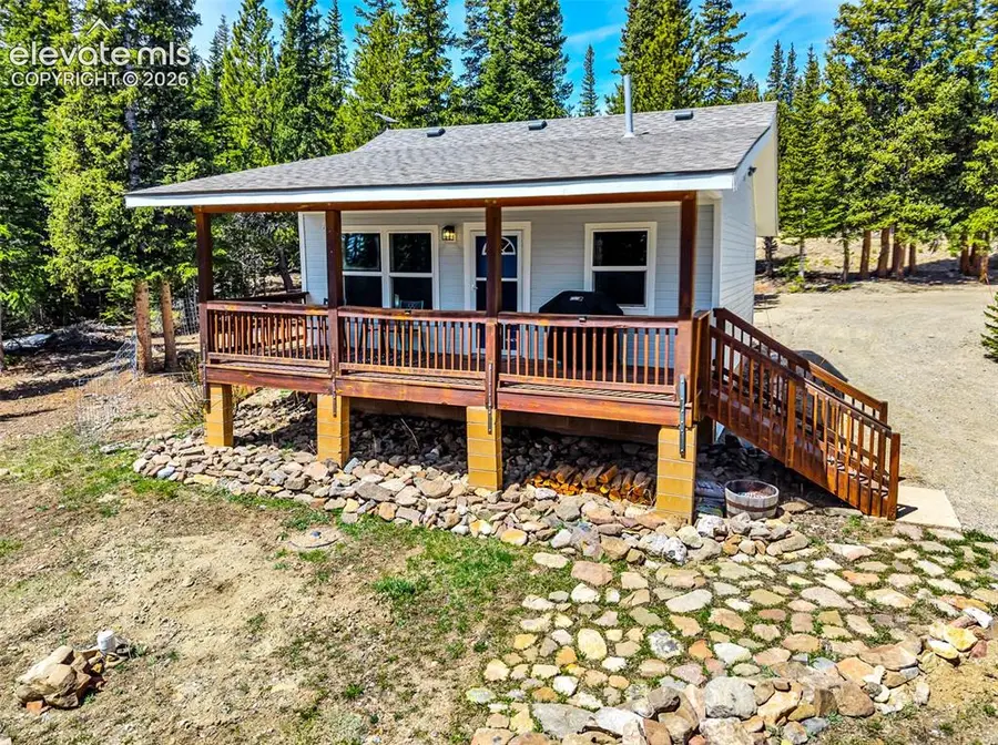 386 Prunes Place, Fairplay, CO 80440 - #3