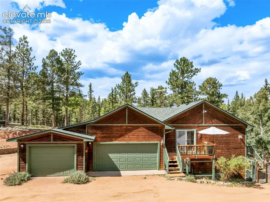 1121 Ridge Road, Divide, CO 80814 - #2