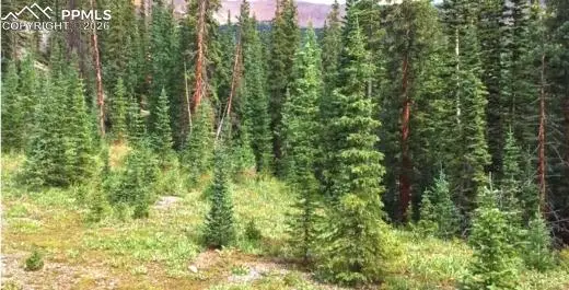 765.2a, Almont, CO 81210 - #1