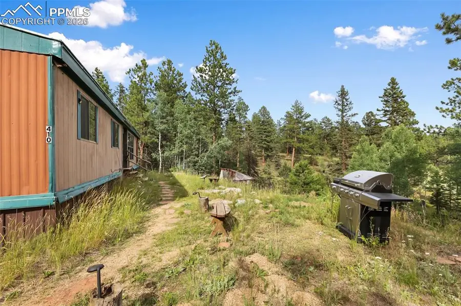 410 Rangeview Road, Divide, CO 80814 - #2