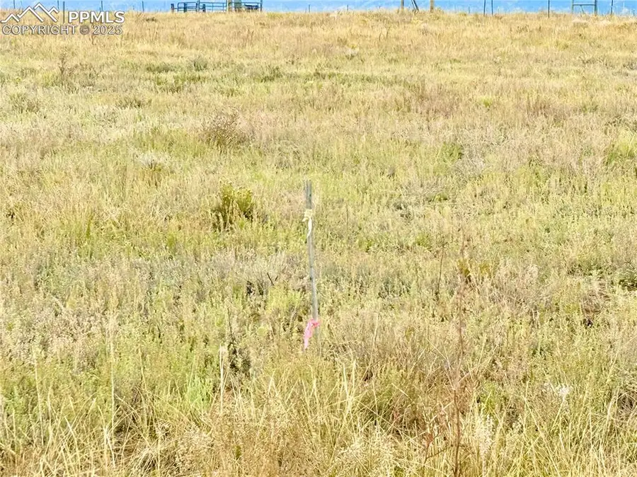 135 Fawn Street, Westcliffe, CO 81252 - Image #3