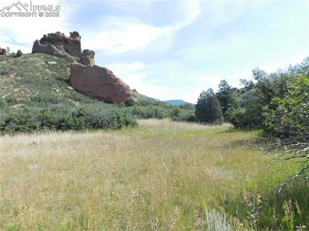 5967 Country Club Drive, Larkspur, CO 80118 - #1
