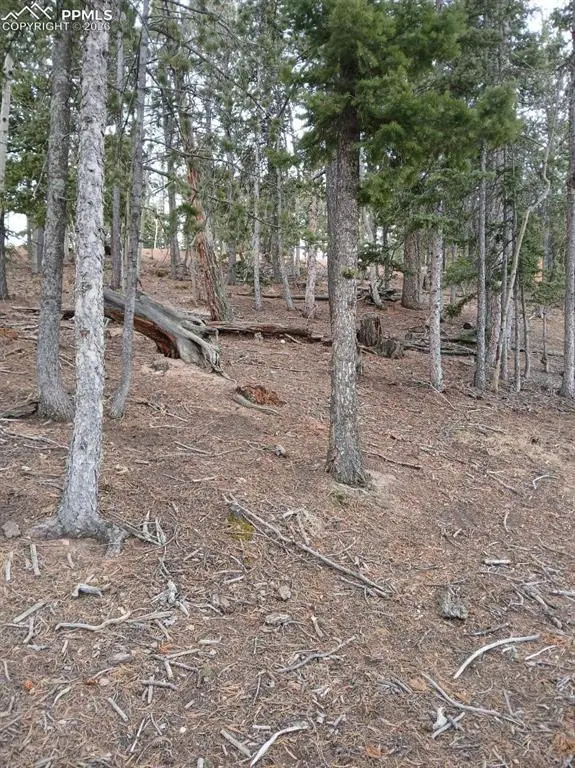 495 Wakanda Trail, Woodland Park, CO 80863