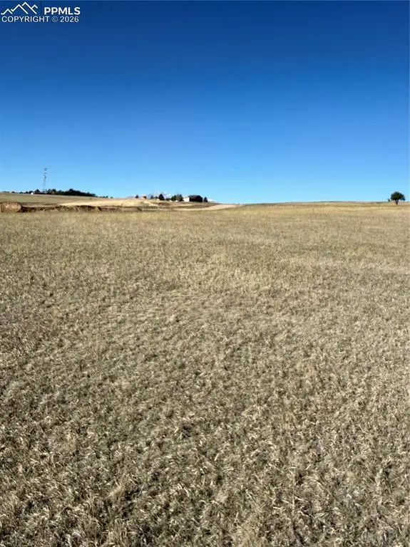 16874 Endless Skye Lane, Colorado Springs, CO 80908 - #1