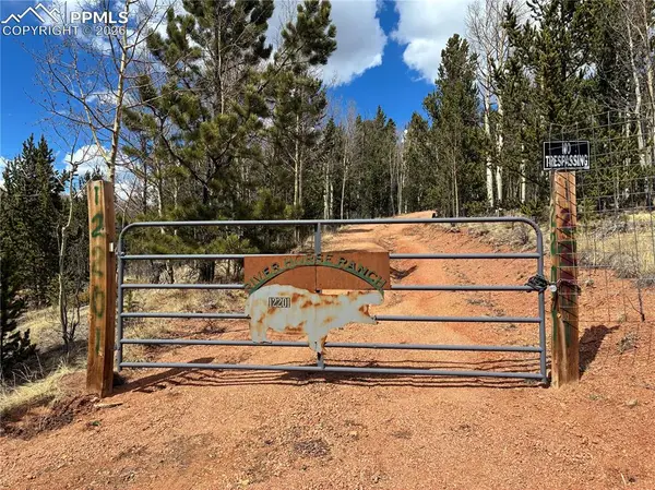 12201 S Highway 67, Divide, CO 80814